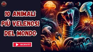 10 Animali Pi&ugrave; Velenosi del Mondo #animalivelenosi #animalipericolosi #faunaselvatica #natura