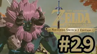 Легенда о Зельде: Дыхание дикой природы — Издание для Switch 2 — Давайте поиграем, Часть 29