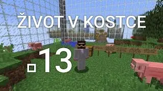 ◘13◘ Život v kostce - Grunex Let's Play [Cube Survival]