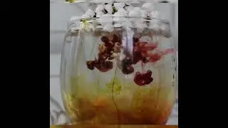 Top simple and Easy Experiments with Food colors #Funny#Experimentsfun#shorts#Tricks#hacks