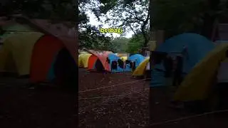 wmsj 2025 #shortvideo