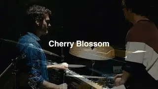 Cherry Blossom - Andrew McCormack & Shinya Fukumori