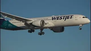Beautiful Evening Plane Spotting at Toronto Pearson Airport: Philippine Airlines A350, WOW Air, etc.