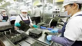 Dried Seaweed Laver Processing in Factory - Seaweed Harvesting - How it made Seaweed Laver