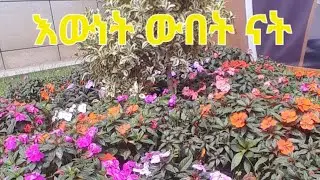 እውነት ውበት ናት🌹👍 Truth is smart#Shorts