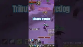 Drakedog | The Warlock Legend | PvP Tribute Short