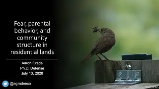 Fear, Parental Behavior, and Community Structure in Residential Lands - Aaron Grade Defense 7-13-20