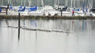 Images from Sausalito Floating Home: Beautiful Sausalito