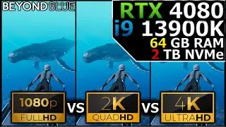 Beyond Blue | 1080p vs 1440p vs 2160p | RTX 4080 | i9 13900K | 64GB RAM | 2TB NVMe