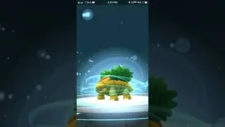 Evolve my Grotle to Tortera in pokemon go #shorts #pokemongo #vstechofficial#