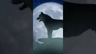 Mind Blowing Wolf Facts You Didn't Know! #animals #wolf#facts