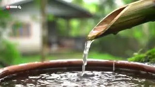 🌱Water Sound For Sleep, Relaxation Music of Flowing Water | Relieve Stress, Calm The Soul & Mind