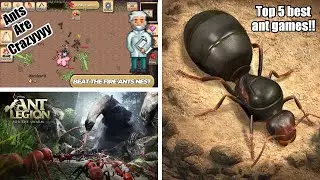I played the top 5 ants games!