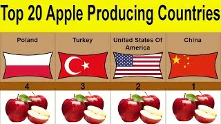 Top 20 Apple Producing Countries In The World