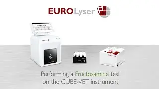 Performing a Fructosamine test on the EUROLyser CUBE-VET instrument