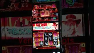 Book of Ra Deluxe 10&euro; Freispiele Vollbild #casino #novoline #jackpot