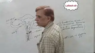 Science class X Reproduction (female reproduction, STD and contraception method