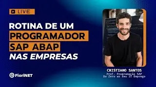 Rotina de um Programador SAP ABAP nas empresas