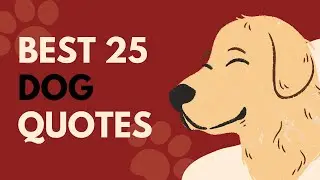 Best 25 Dog Quotes For People Who Love Dogs | Inspirational Daily-Quotes
