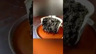 How to prove Root Pressure || Water Transport in Plants || How do plants take water