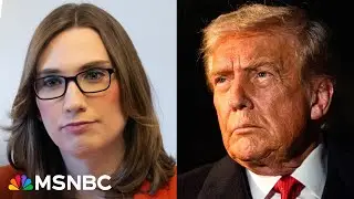 Trailblazing Dem: FIGHT BACK against MAGA but evolve by losing 'purity tests'