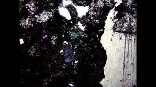 Lame mince d'une NWA 2865 observée en lumière polarisée/analysée
