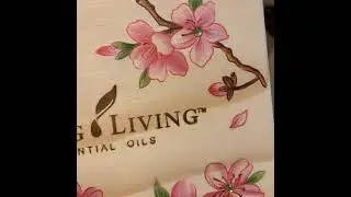My New Bling Bling Wooden Box for Young Living Essential Oil 🌸