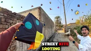 Street kite looting😱 || Kite fighting🔥 || kite cutting🥵 || Full asman gudon sy bhar giya😍 || Kites 🪁