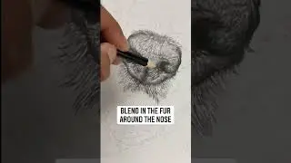 How to Draw a Dog&rsquo;s Nose #shorts #shortsvideo #howtodrawadog #short #skillshareclasses
