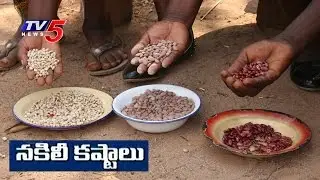 Fake Seeds Tension to Farmers in West Godavari District | TV5 News