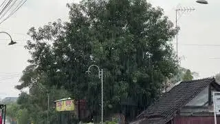Improv Your Study Session: Rain Sounds 