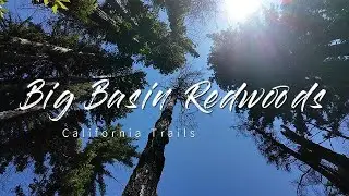 We got lost in Big Basin Redwoods National Park. California trails