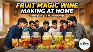 🍇🍷Fruit Magic Wine Making at Home l Fun vlogs -01 l Sciptu paper vlogs 😎