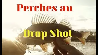 DROP SHOT Technique GAGNANTE pour la PERCHE