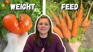 I Grew 180 Pounds of One Crop — But It Wasn’t What Fed My Family