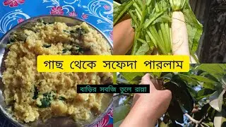 🍁বাবার বাড়িতে এসে শফেদা পারলাম! বাড়ির সবজি তুললাম। 😊