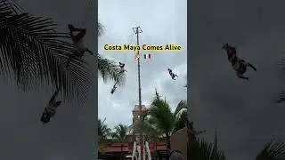 🇲🇽Costa Maya Comes Alive 🎉 | Watching a Live Show in Mexico  #shortsviral #costamaya #mexico