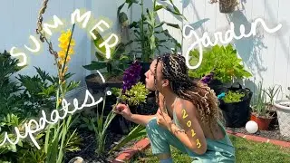 SUMMER GARDEN UPDATES | GARDEN TOUR 2023 👩&zwj;🌾🪴🍌🥬