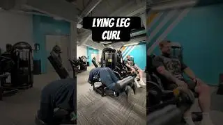 Lying leg curl