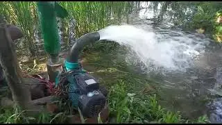 Leo Water Pump 1hp 2