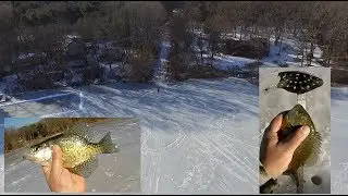 basin crappies