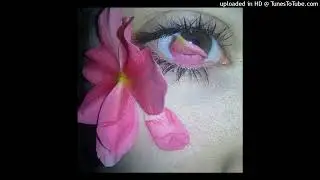 Che Prettifun Ginseng Lucy Bedroque type beat - waterfall