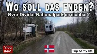 #441 Roadtrip Norwegen | 20 km Schotter? Øvre-Dividal-Nationalpark Bären | Bier am Vatertag | Wow!
