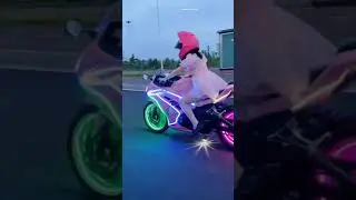 #R15 V3 🔥 | Modified lights 😍🥰 | pink 💕 | girl rider 🔥😍 | love vibes❤ |