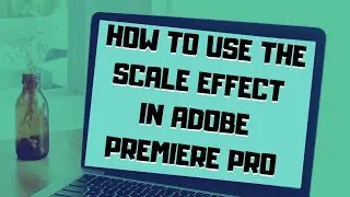 How To Use The Scale Effect in Adobe Premiere Pro