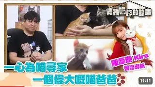 尋找喵喵的故事 第十集 訪問天下貓貓一樣貓 part1