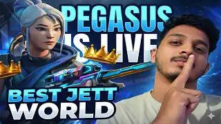 Rank grind to IMMORTAL3 | PegasusIsLive #valorantlive  #valorant    #livestream