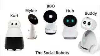 Temi the personal robot |real robot |😱 real robot like human -hason robotics| transforming robot🚖