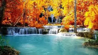 Relaxing Music Quiet Quest, Calm and Relaxing Music for Sleep, Meditation, Relaxation