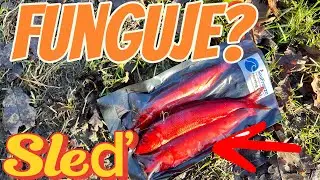 Chytám na SLEĎE… Přijde konečně ŠTIKA? 🐋🎣